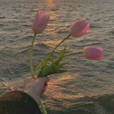 皇冠登陆入口welcome